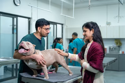 Veterinaria revisando a un perro mientras su dueña lo sostiene
